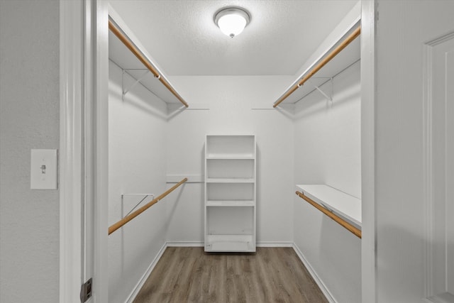 spacious closet with hardwood / wood-style flooring