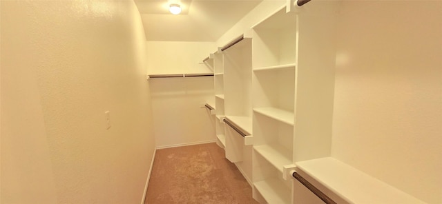 spacious closet featuring light carpet