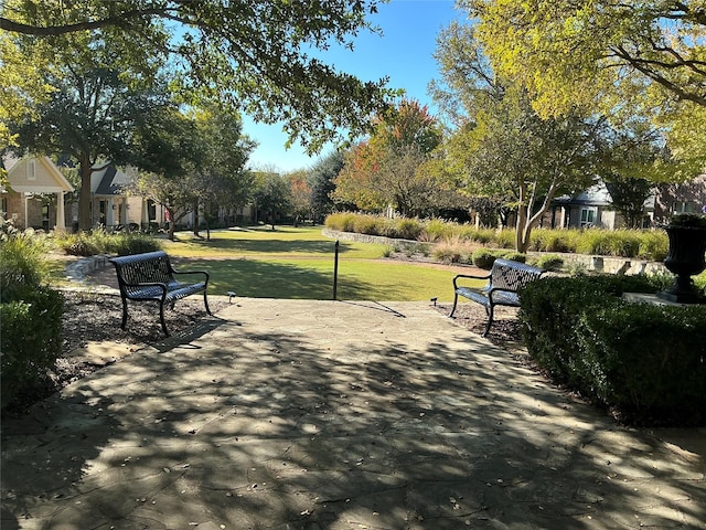 view of home's community with a yard