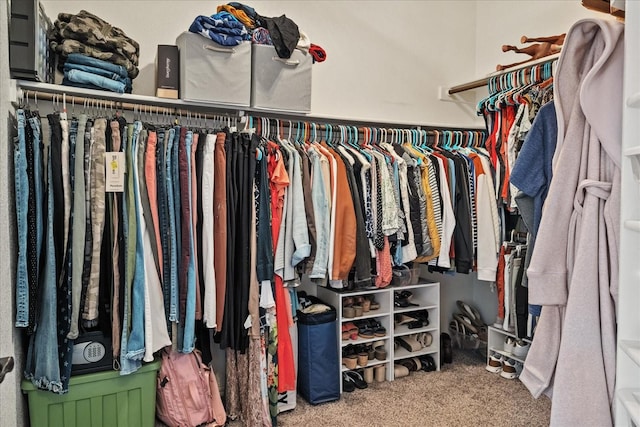 spacious closet with carpet flooring