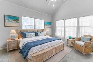 bedroom with high vaulted ceiling