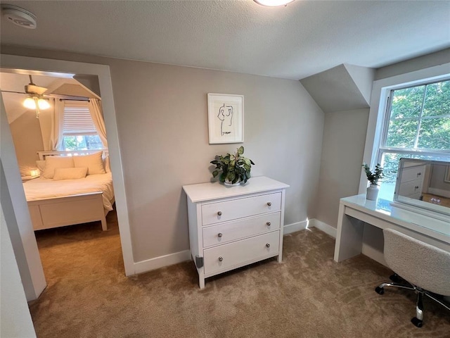 office space with baseboards, a textured ceiling, carpet, and a healthy amount of sunlight