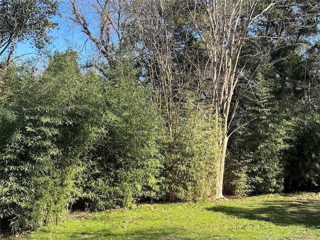 view of local wilderness featuring a view of trees