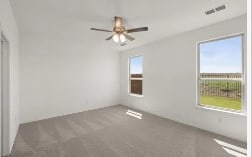 spare room with carpet floors and a healthy amount of sunlight