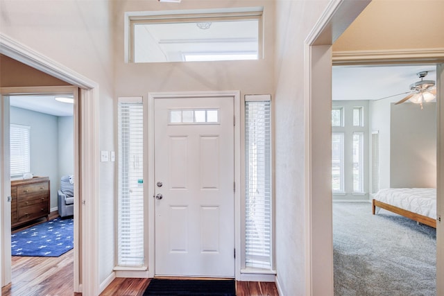 entryway featuring wood-type flooring, a wealth of natural light, and ceiling fan