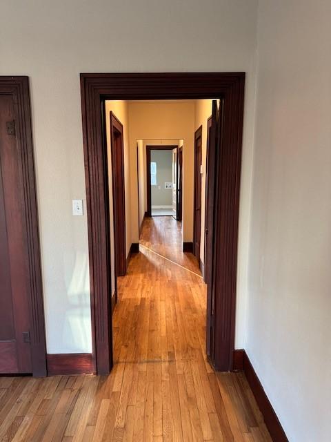 hall with light wood-type flooring