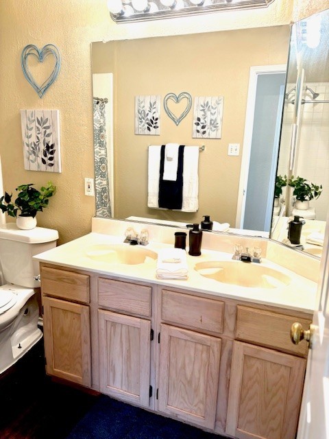 bathroom with vanity and toilet