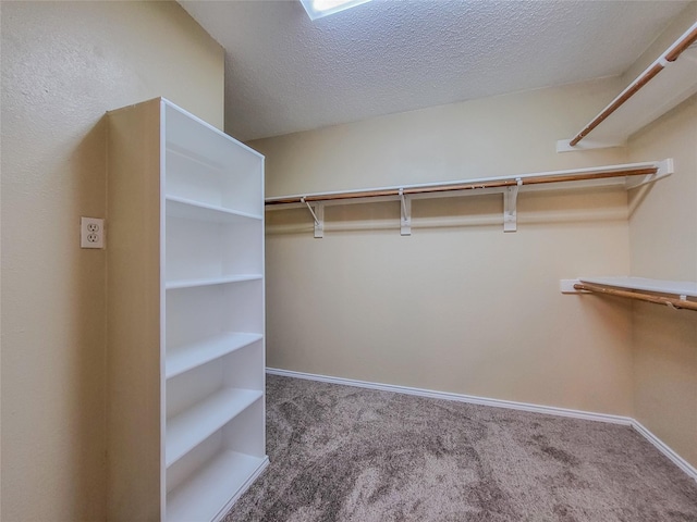 walk in closet with carpet flooring