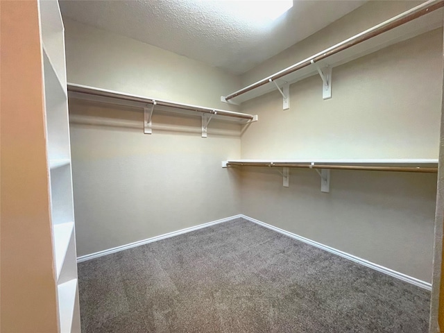 spacious closet with carpet flooring