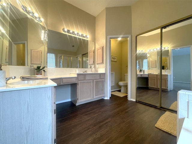 bathroom with vanity, hardwood / wood-style floors, and toilet