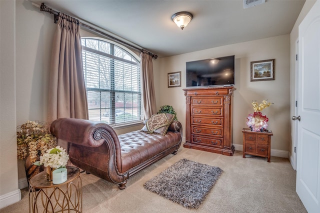 sitting room with light carpet