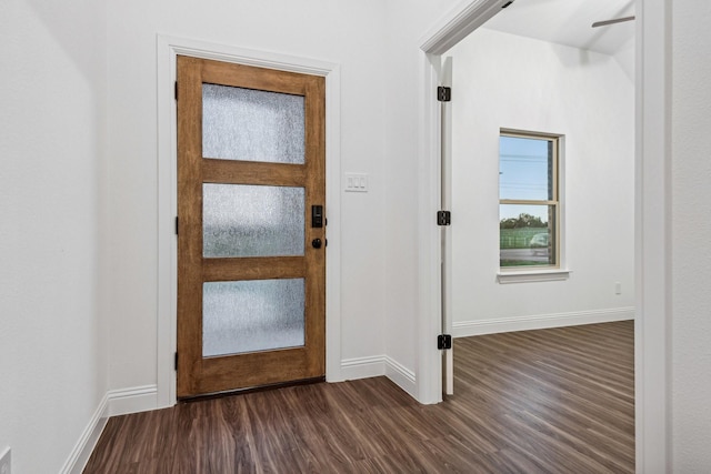 foyer with dark hardwood / wood-style floors