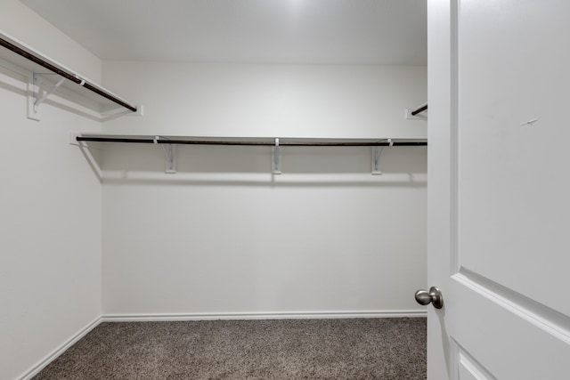 walk in closet with dark carpet