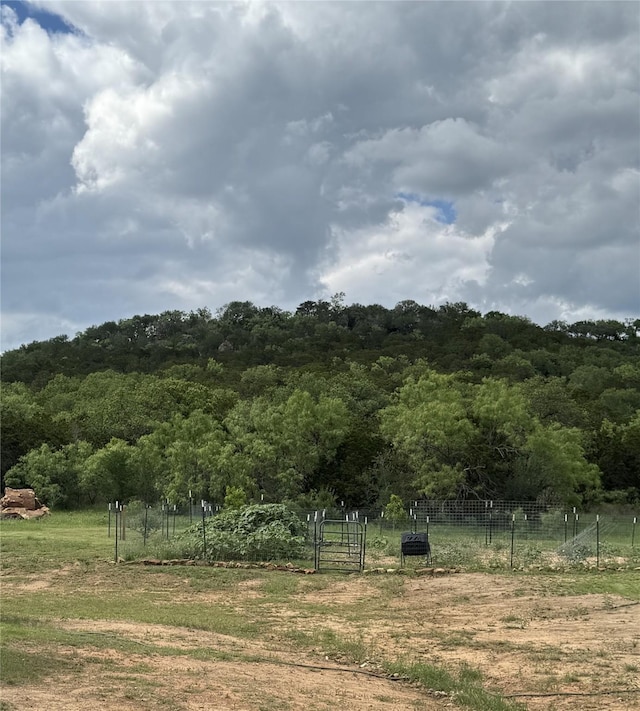 1006 High Point Dr, Mineral Wells, TX 76067 - view of yard with fence, a view of rural / pastoral area, and a view of trees