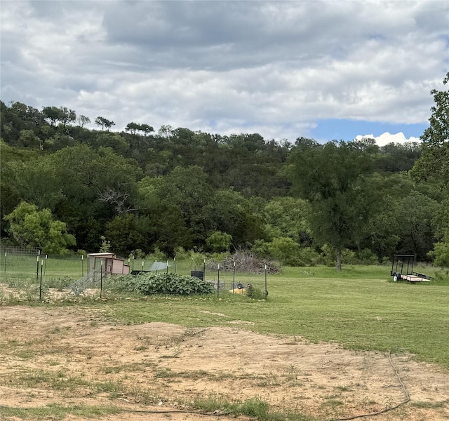 1006 High Point Dr, Mineral Wells, TX 76067 - view of property's community