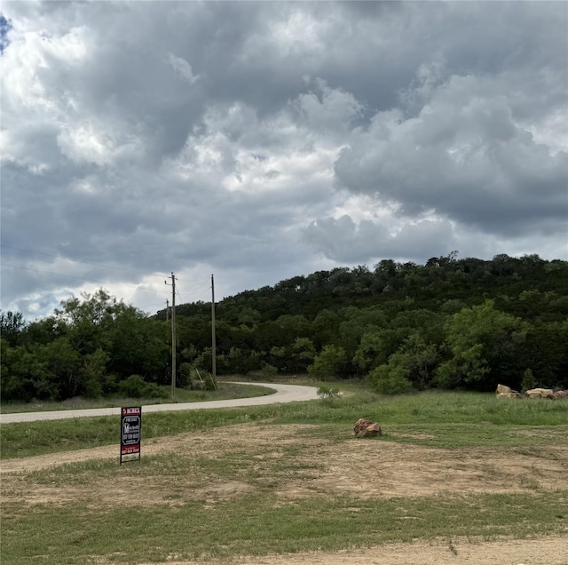 1006 High Point Dr, Mineral Wells, TX 76067 - view of property's community with a wooded view