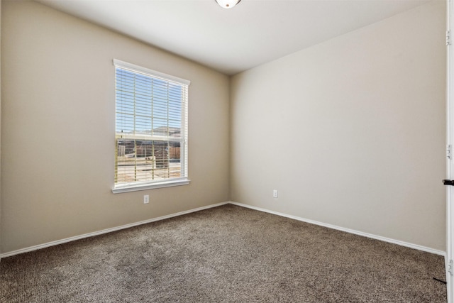 empty room featuring carpet