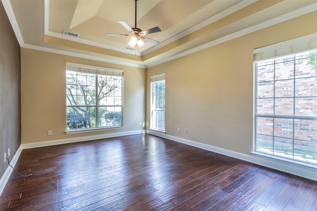 unfurnished room featuring a raised ceiling, plenty of natural light, and dark wood-type flooring