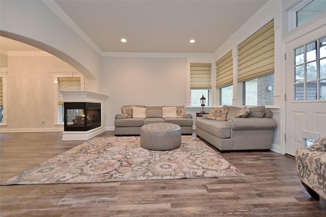 living room with a multi sided fireplace, wood-type flooring, ornamental molding, and a wealth of natural light