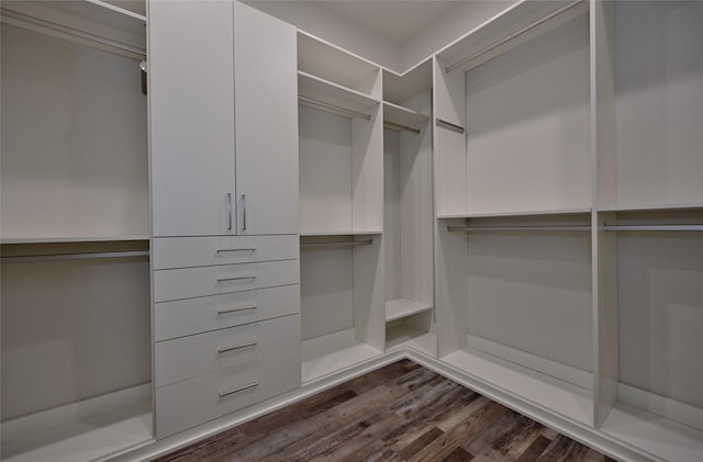 walk in closet with dark hardwood / wood-style floors