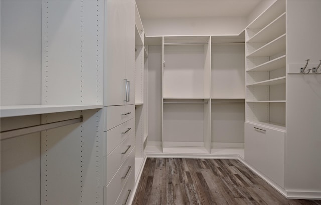 walk in closet featuring dark hardwood / wood-style flooring