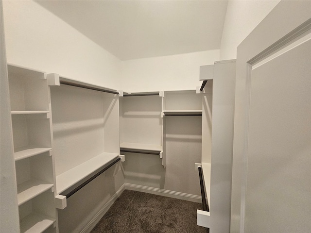 walk in closet with dark colored carpet