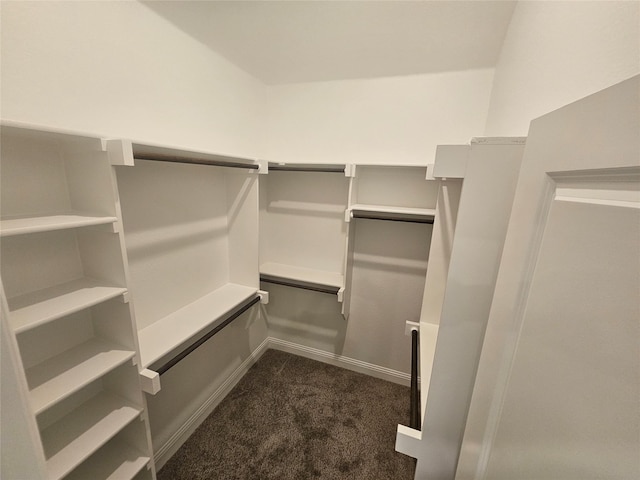 walk in closet featuring dark colored carpet