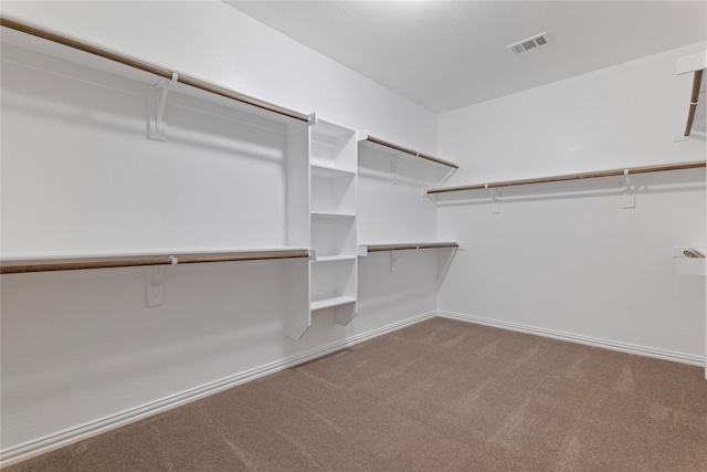 walk in closet with carpet