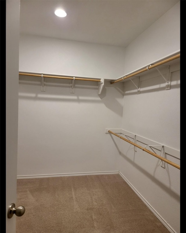 walk in closet featuring carpet flooring