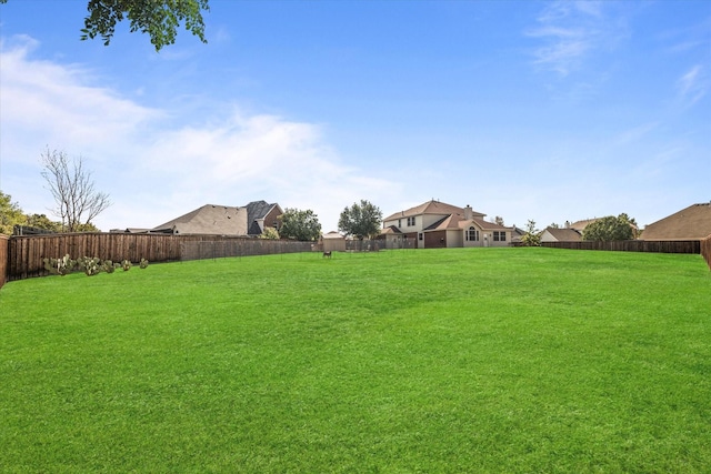 5401 Loftsmoor Ct, Fort Worth, TX 76244 - view of yard