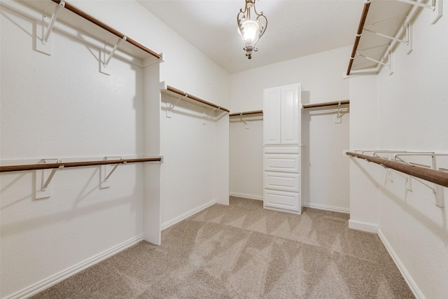 walk in closet with light colored carpet