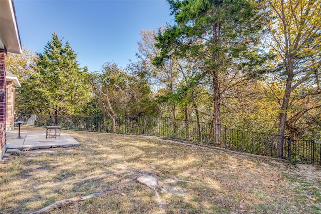 view of yard featuring a patio