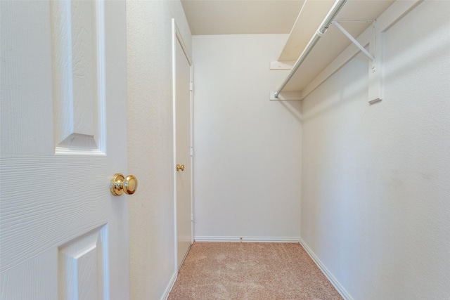 walk in closet featuring light carpet