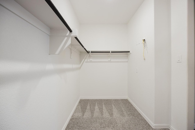 spacious closet featuring carpet floors