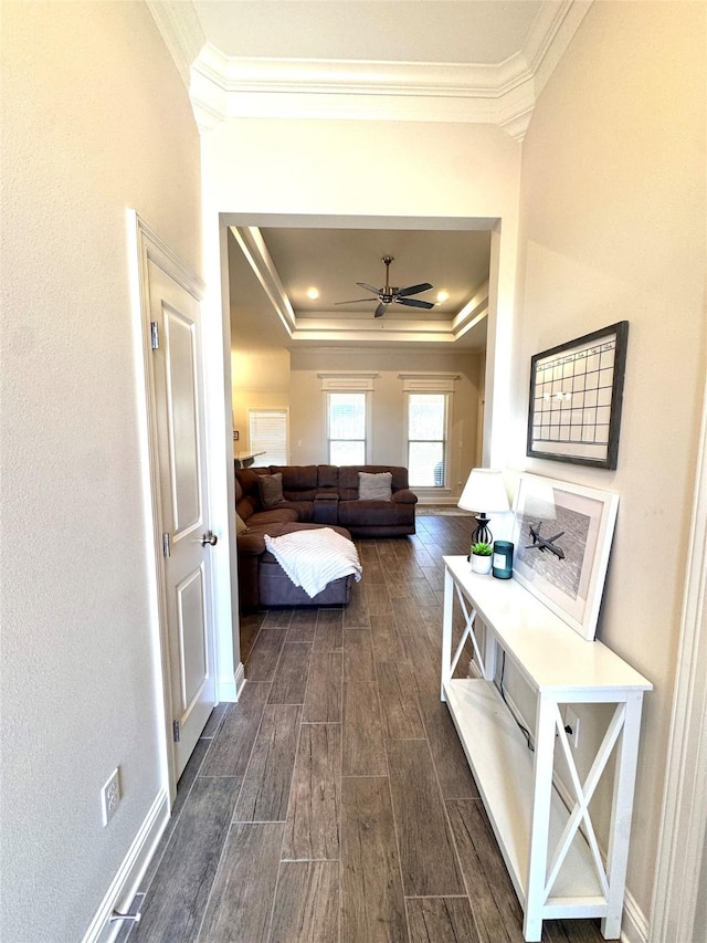 interior space with ornamental molding and a tray ceiling