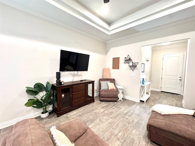 living room with crown molding and a raised ceiling