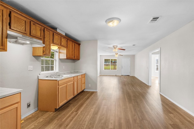 kitchen featuring sink, ceiling fan, and light wood-type flooring