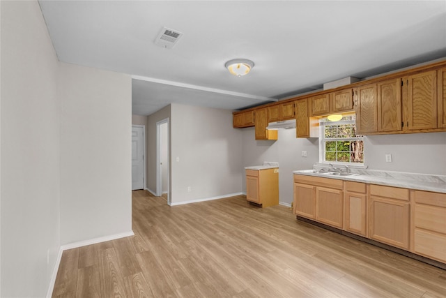 kitchen with sink and light hardwood / wood-style flooring