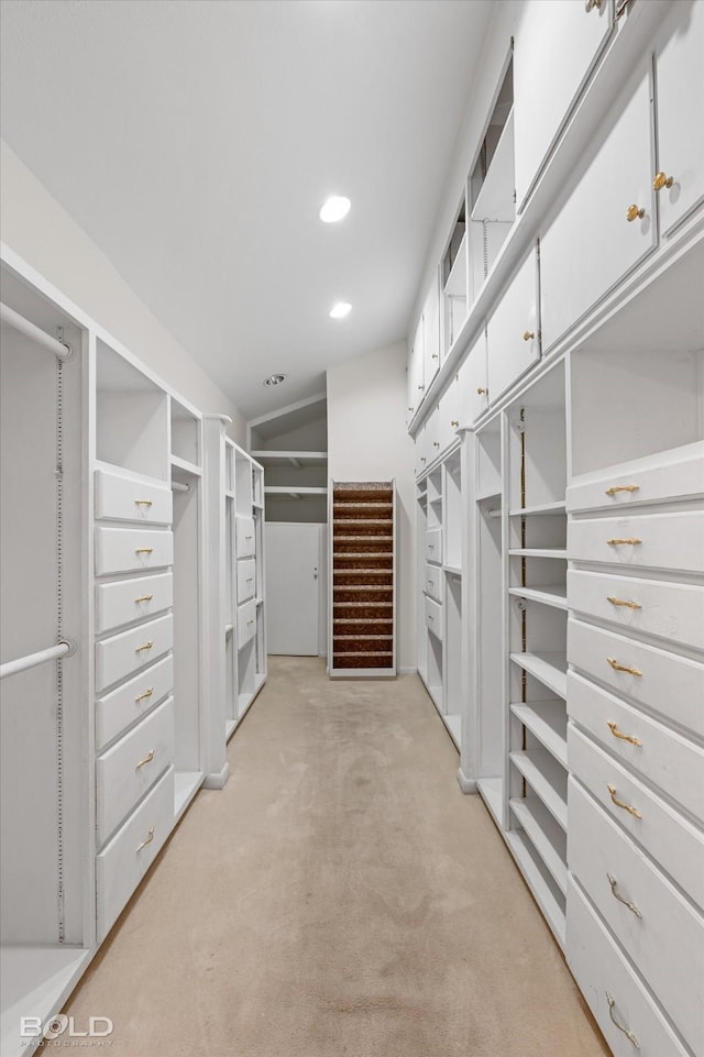 spacious closet with light carpet