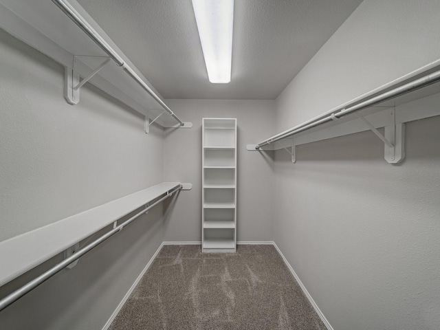 spacious closet with dark colored carpet