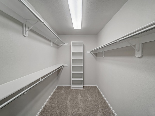 walk in closet featuring dark colored carpet