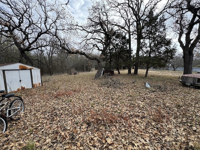 view of yard featuring a storage shed