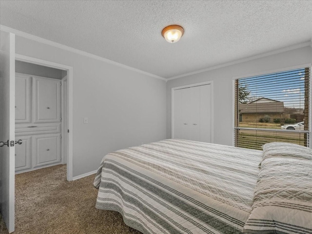 carpeted bedroom with crown molding, a textured ceiling, and a closet