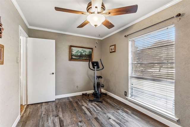 exercise room with baseboards, ornamental molding, ceiling fan, and wood finished floors