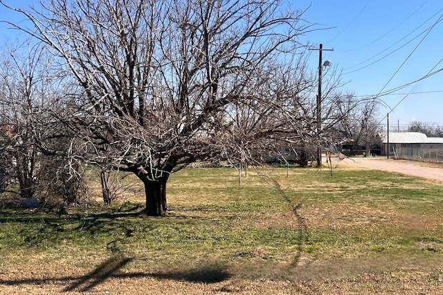 view of yard