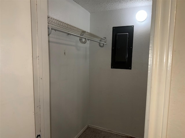 spacious closet featuring electric panel and carpet