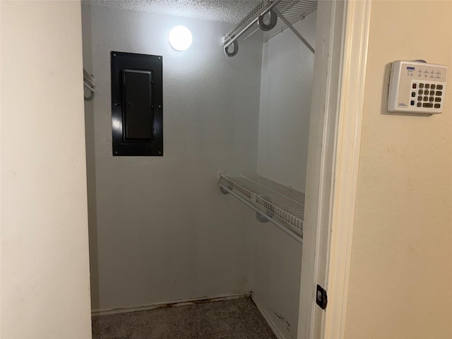 spacious closet featuring electric panel and carpet