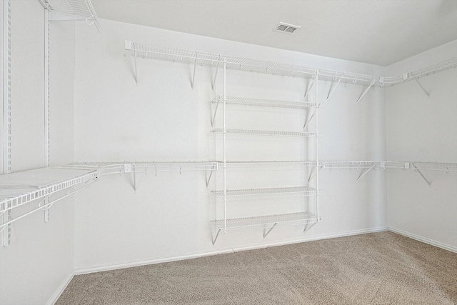 walk in closet featuring carpet and visible vents