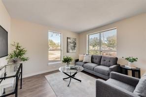 living room with hardwood / wood-style flooring and a healthy amount of sunlight