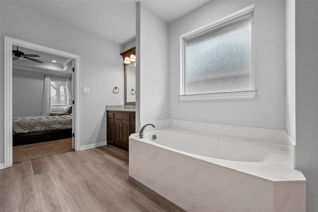 bathroom featuring vanity, a tray ceiling, hardwood / wood-style floors, and a tub to relax in